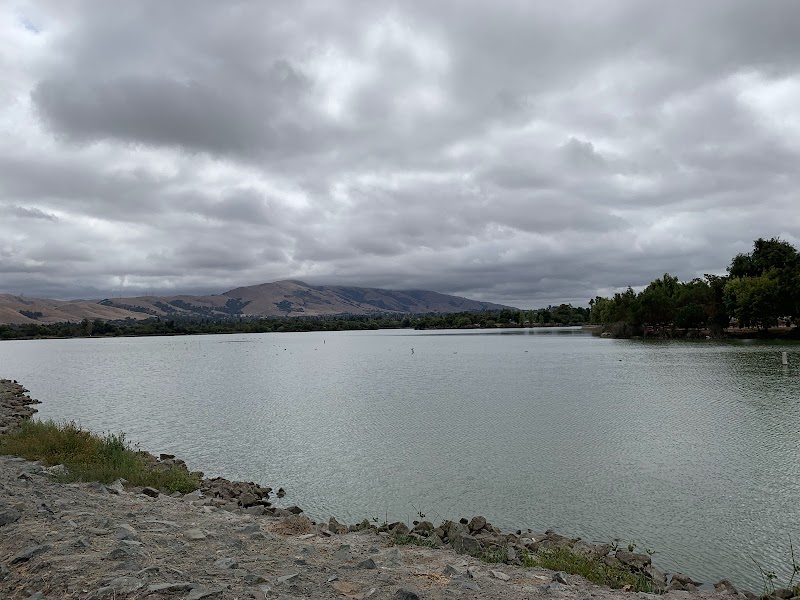 Central Park Dog Park - Fremont, CA
