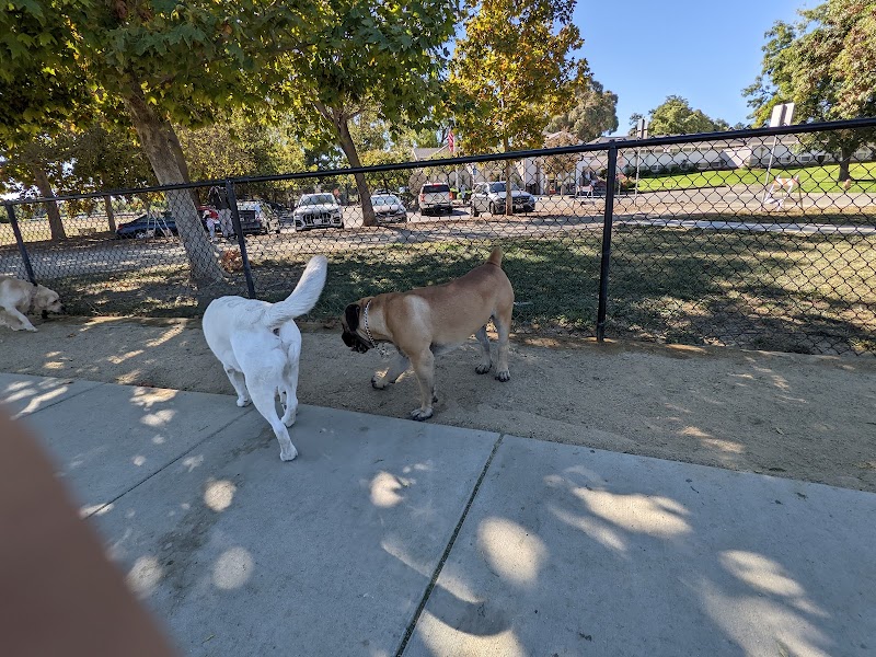 Central Park Dog Park - Fremont, CA