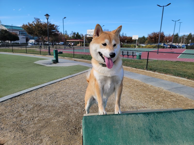 Central Park Dog Park - Fremont, CA