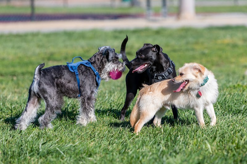 Dog Park for Small Dogs - Fremont, CA