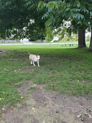 Fremont Dog Park