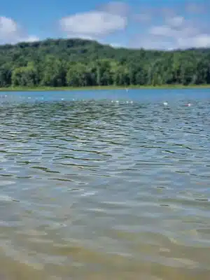 Patoka Lake Swimming Beach - French Lick, IN