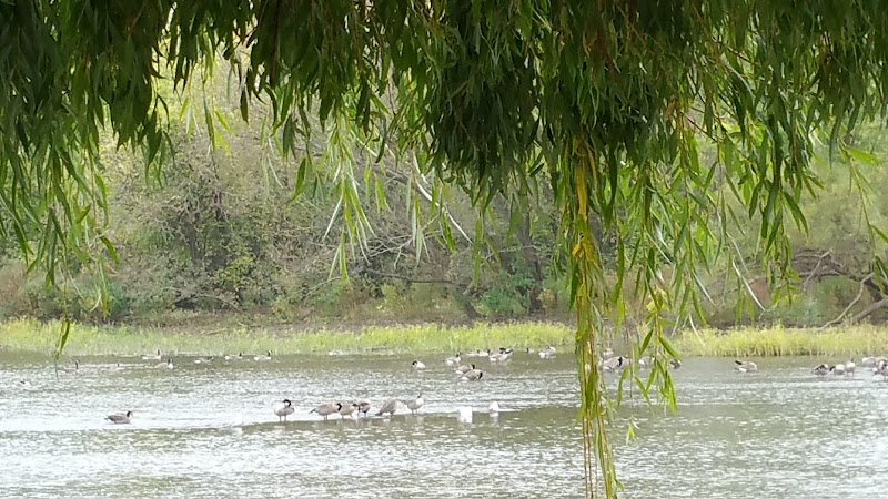 Waterloo Park - Frenchtown Township,