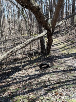 Friendship Pond Park