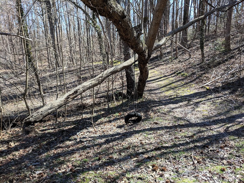 Friendship Pond Park - Friendship, MD