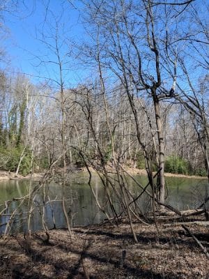 Friendship Pond Park