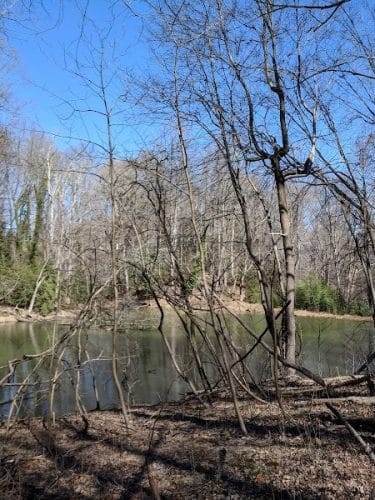 Friendship Pond Park