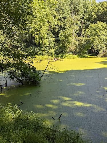 Friendship Pond Park