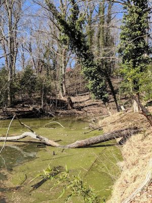 Friendship Pond Park
