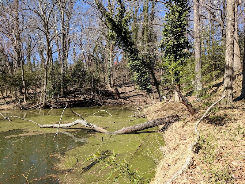 Friendship Pond Park - Friendship, MD