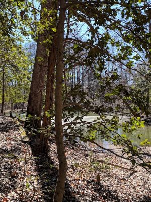 Friendship Pond Park