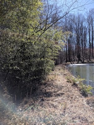 Friendship Pond Park