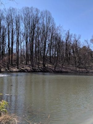 Friendship Pond Park