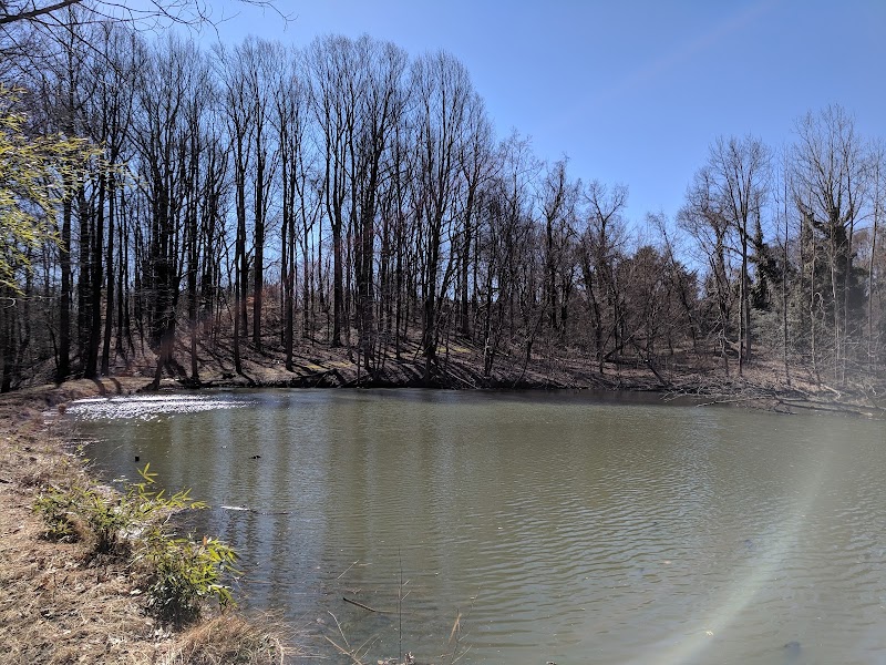 Friendship Pond Park - Friendship, MD