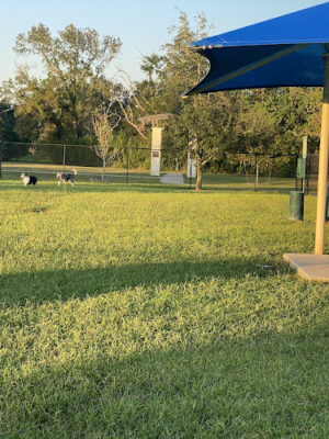 Friendswood Dogsafe Park