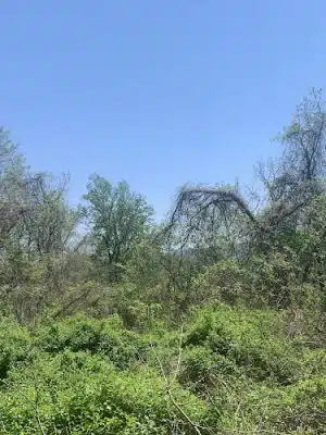 Snead Farm Loop Trail - Front Royal, VA