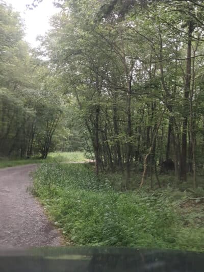St Johns Rock Parking and Picnic Area - Frostburg, MD