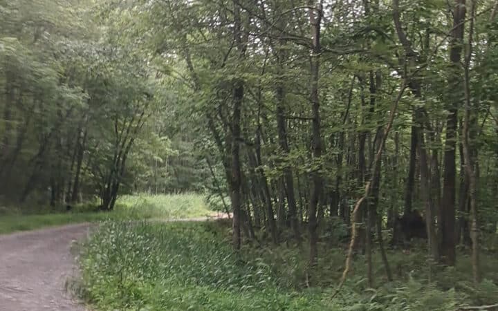 St Johns Rock Parking and Picnic Area - Frostburg, MD
