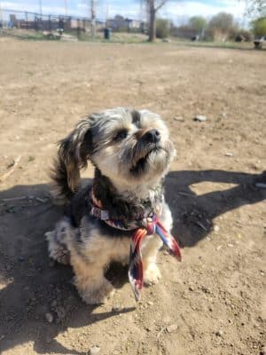 Fruita Bark Park