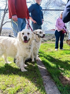Fruita Bark Park