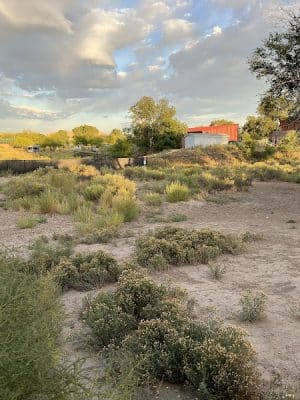 Fruita Bark Park