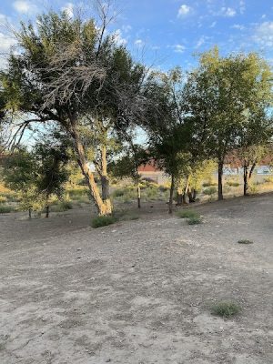 Fruita Bark Park