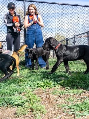 Fruita Bark Park