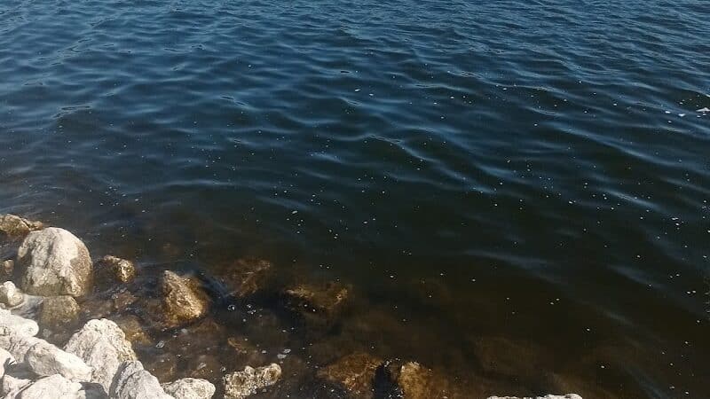 8th Avenue Park - Fruitport,