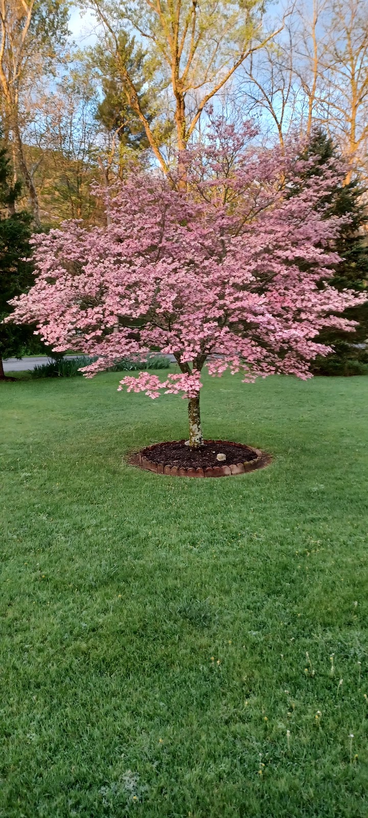 Fulks Run - Fulks Run, VA