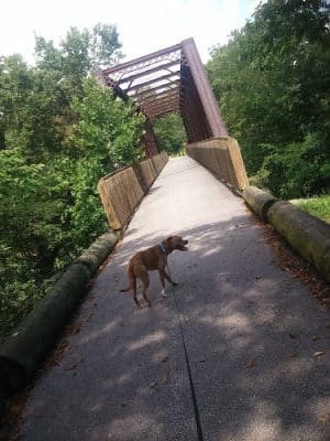 Fulton Dog Park - Fulton, MO