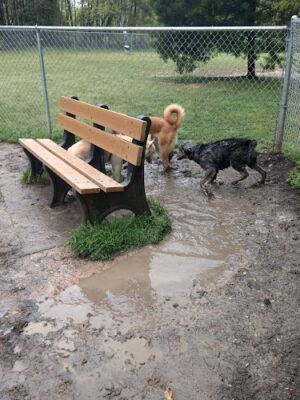 Fuquay-Varina Dog Park