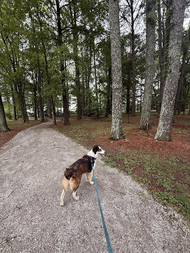 Bark Park