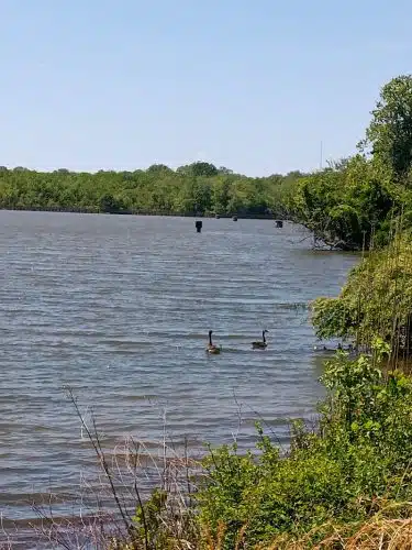 James D. Martin Wildlife Park