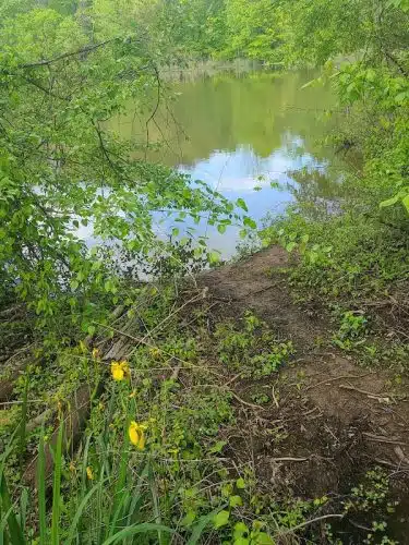 James D. Martin Wildlife Park