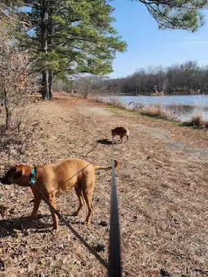 James D. Martin Wildlife Park - Gadsden, AL