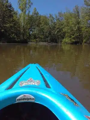 The James D. Martin Wildlife Park - Gadsden, AL