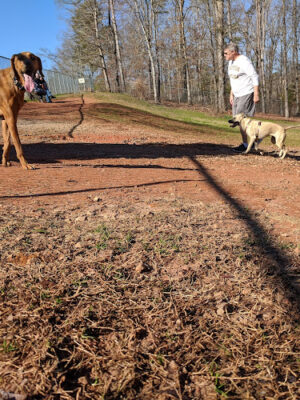 Laurel Bark Park