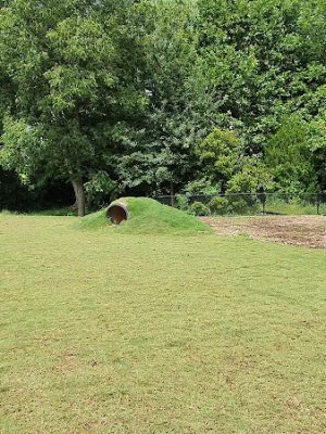 Midland Dog Park - Gainesville, GA