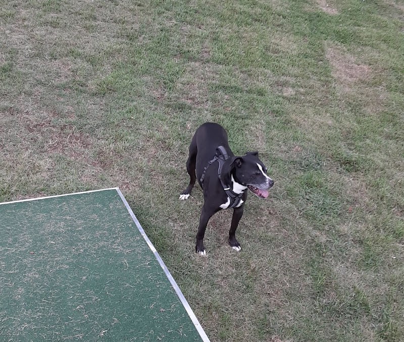 Midland Dog Park - Gainesville, GA