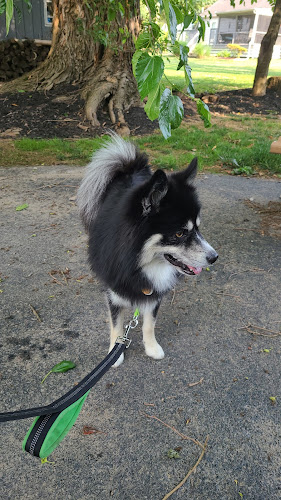 Neighborhood dog park/trail