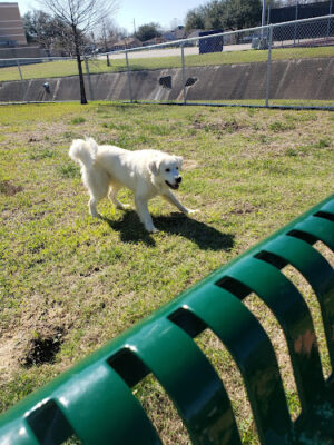 Galena Park