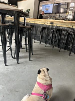 Barkin’ Barley