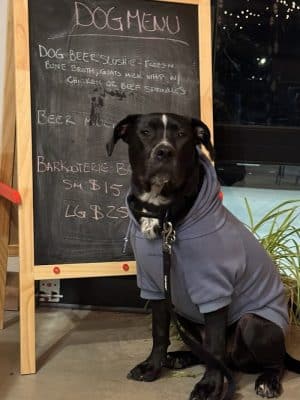 Barkin’ Barley