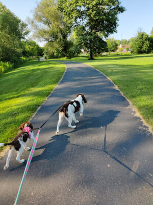Galesburg Community Park