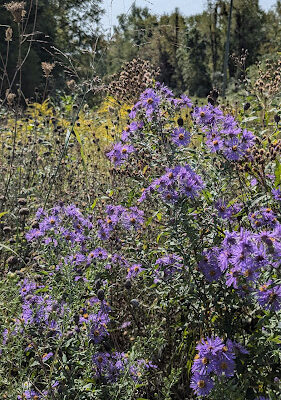Kalamazoo River Valley Trail