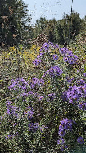 Kalamazoo River Valley Trail