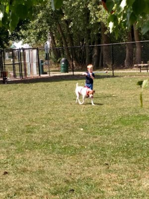 Project Dog Park - Connie Nott Canine Area