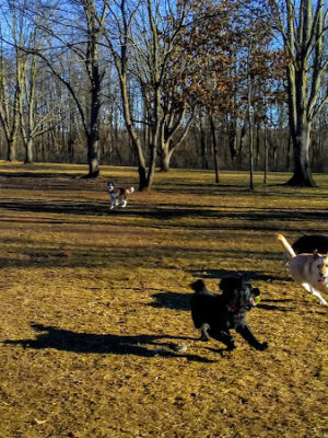 River Oaks County Park