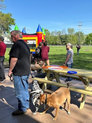 The Puppy Playground