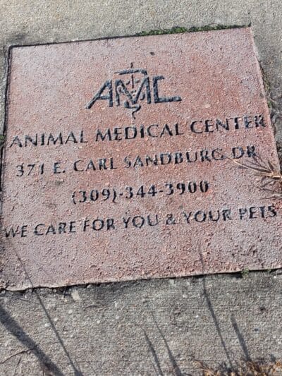 Project Dog Park - Connie Nott Canine Area - Galesburg,
